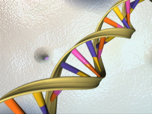 Image: DNA Double Helix "DNA Double Helix" via Flickr Commons